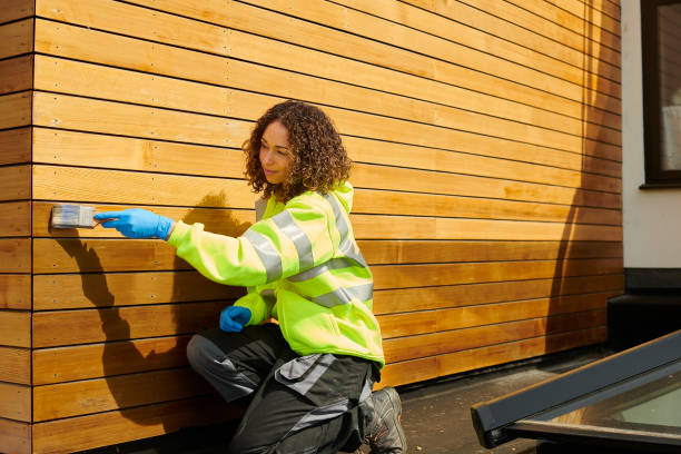 Best Stone Veneer Siding  in Caledonia, MN