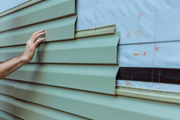 Best Storm Damage Siding Repair  in Caledonia, MN